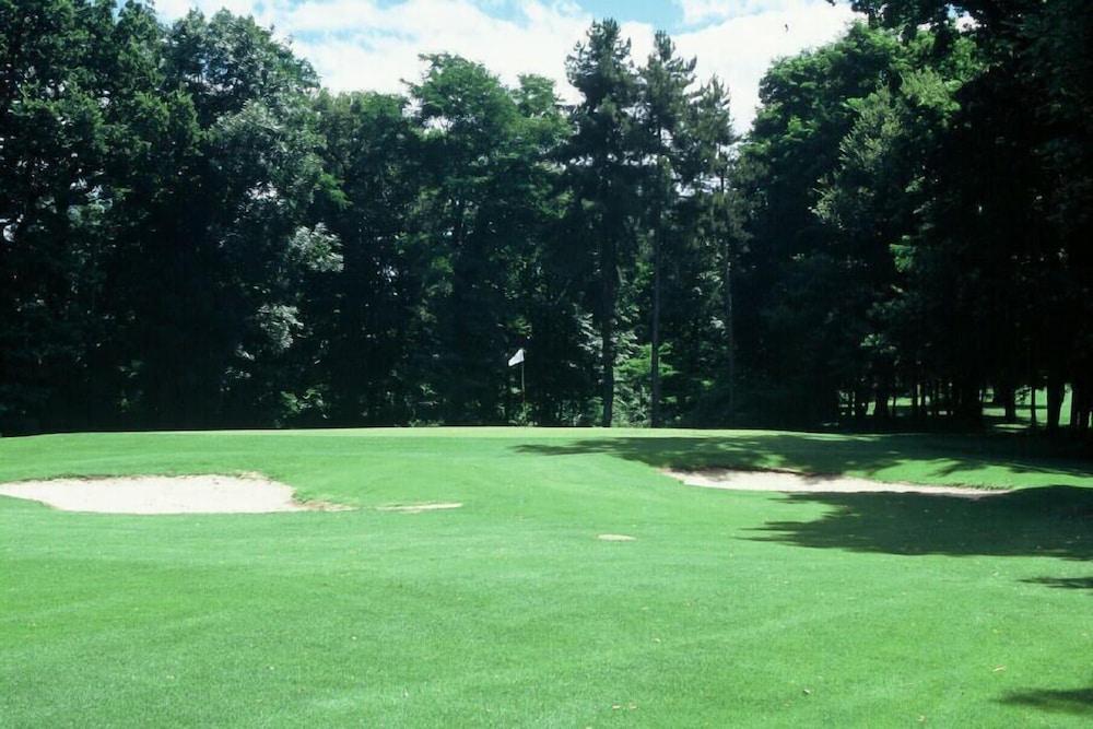 Western Golf D'albon